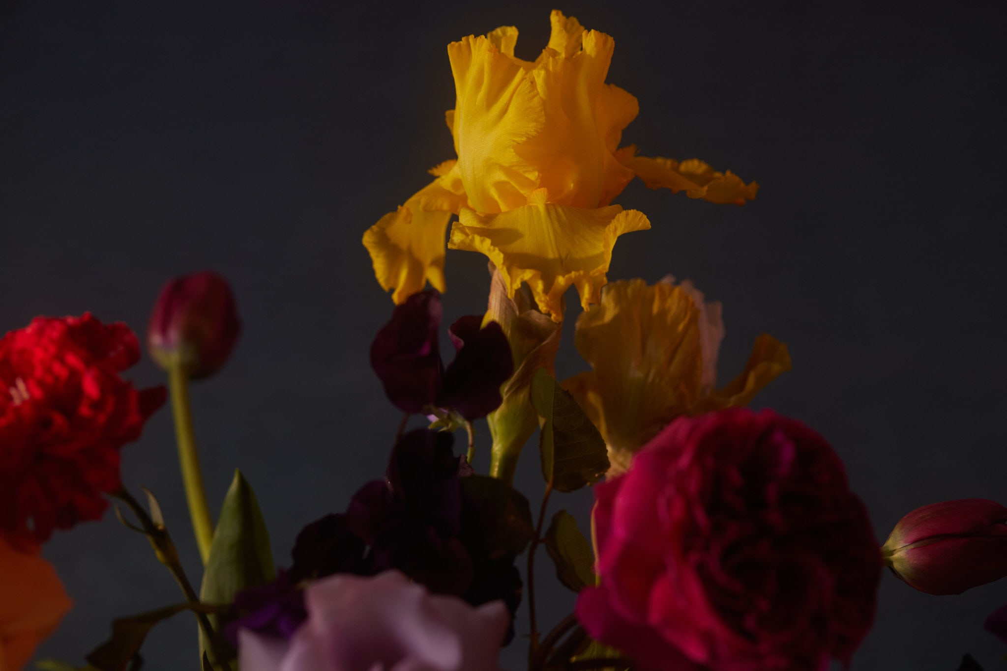 Yellow irises and deep red roses from the Adawn Dental Studio brand collection, Brunswick East